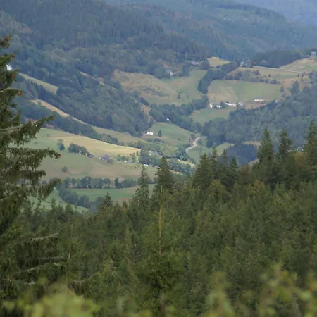 Chalet In Close To Ski Slope La Bresse