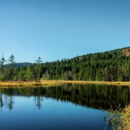 Chalet In Close To Ski Slope La Bresse