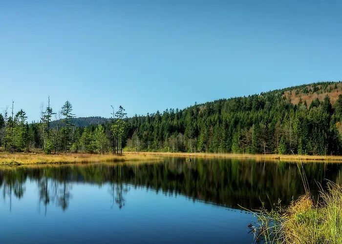 Chalet In Close To Ski Slope 拉布雷斯